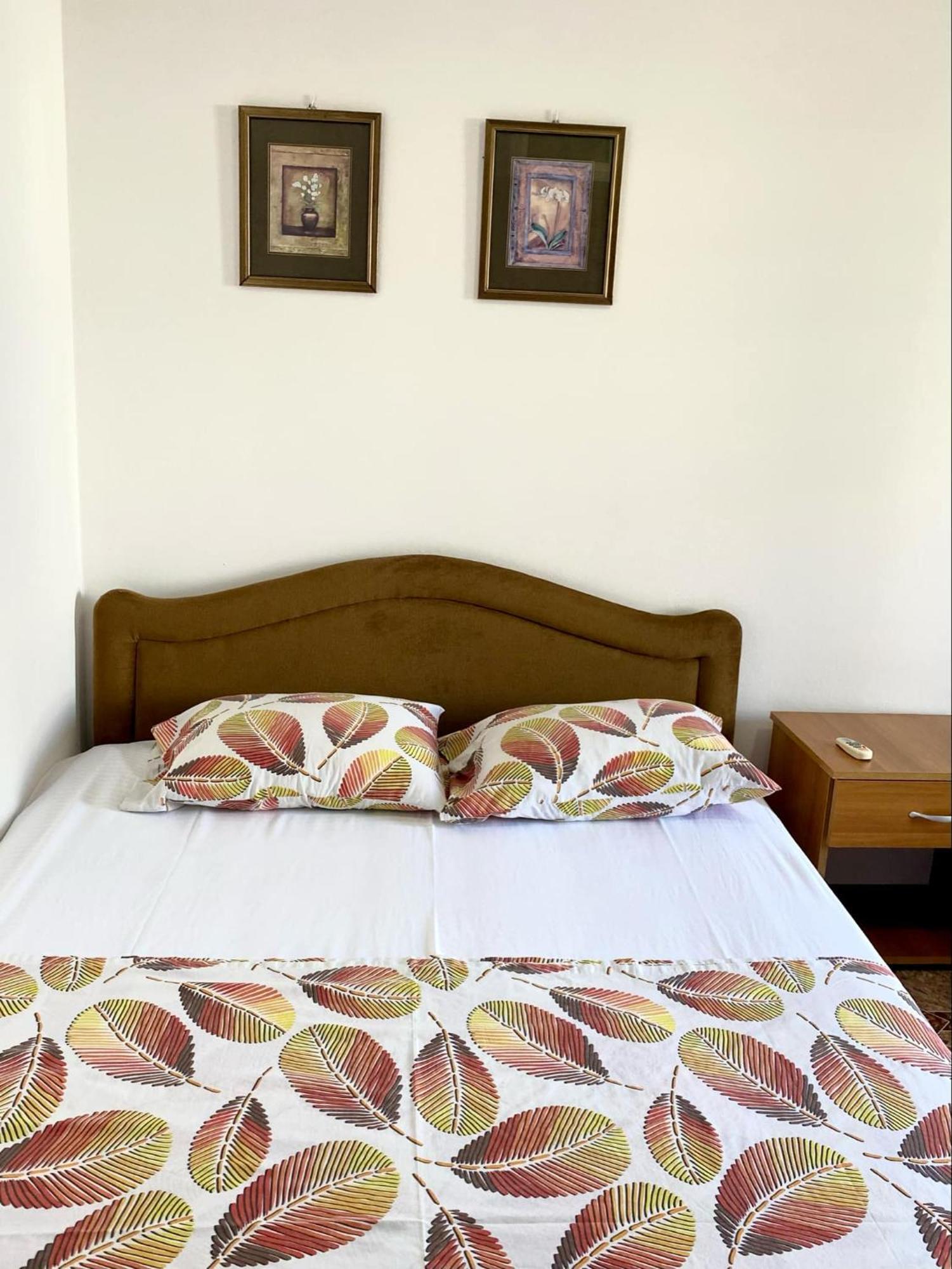 Dragovoja Lux Apartments & Rooms 乌尔齐尼 外观 照片